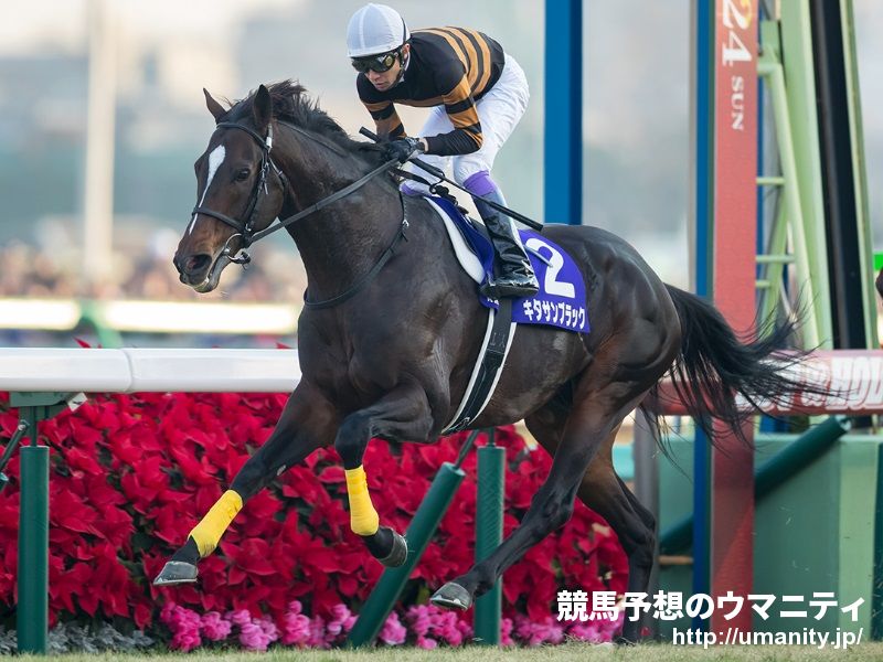 Kitasan Black racing